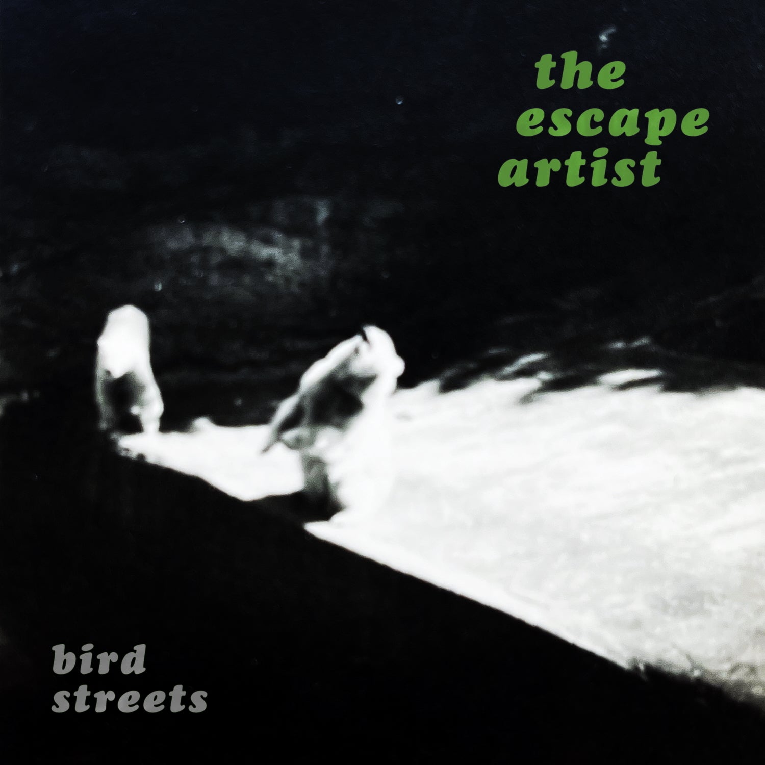 The Escape Artist - Silver
