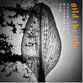 Gild The Lily