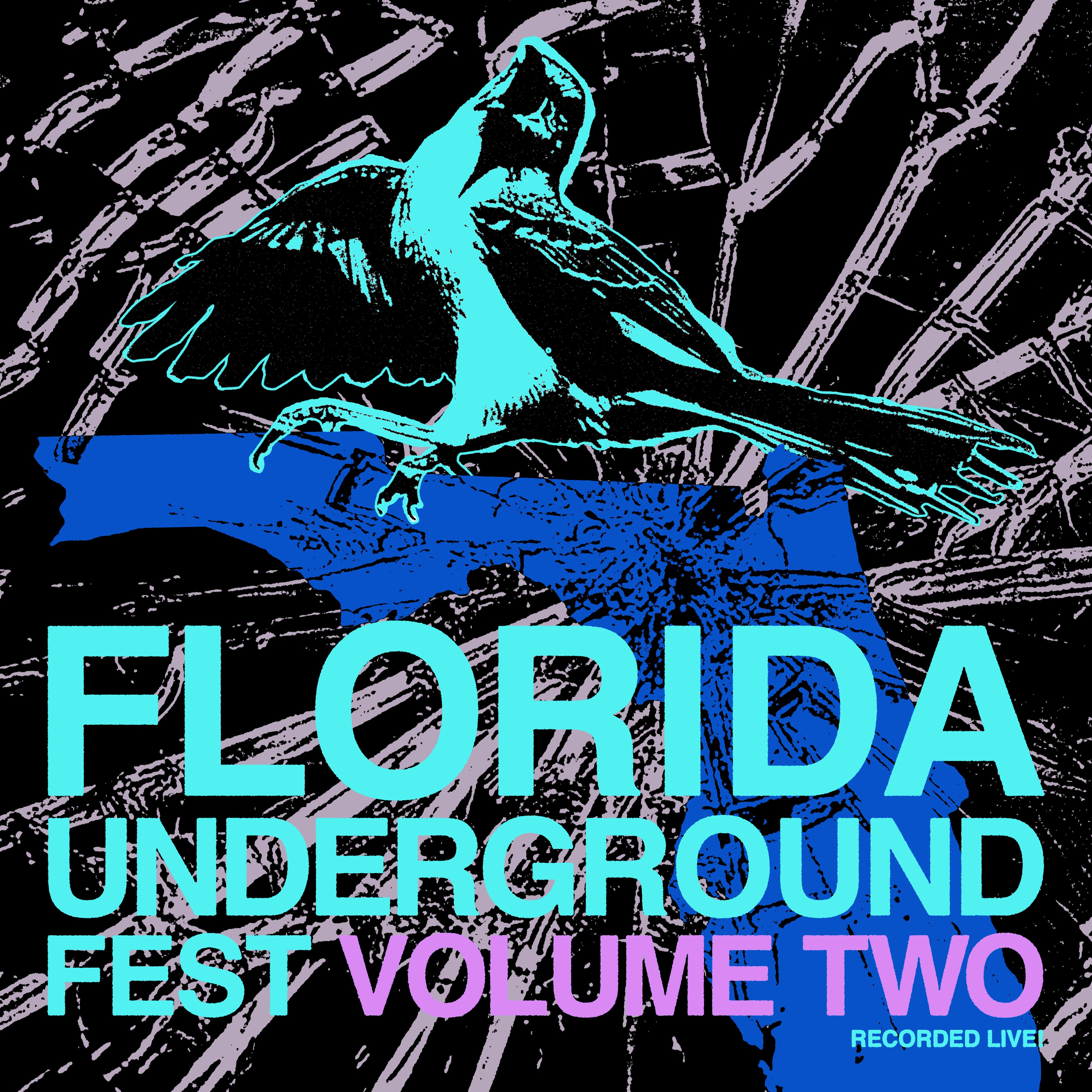 Florida Underground Fest 2 (Various Artists)