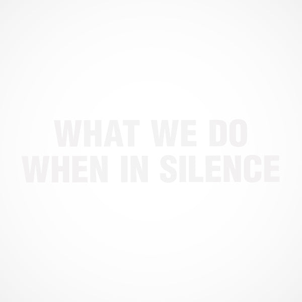 What We Do When In Silence