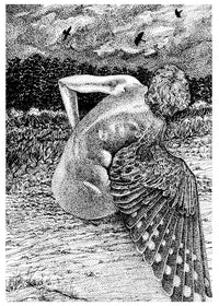 For The Birds