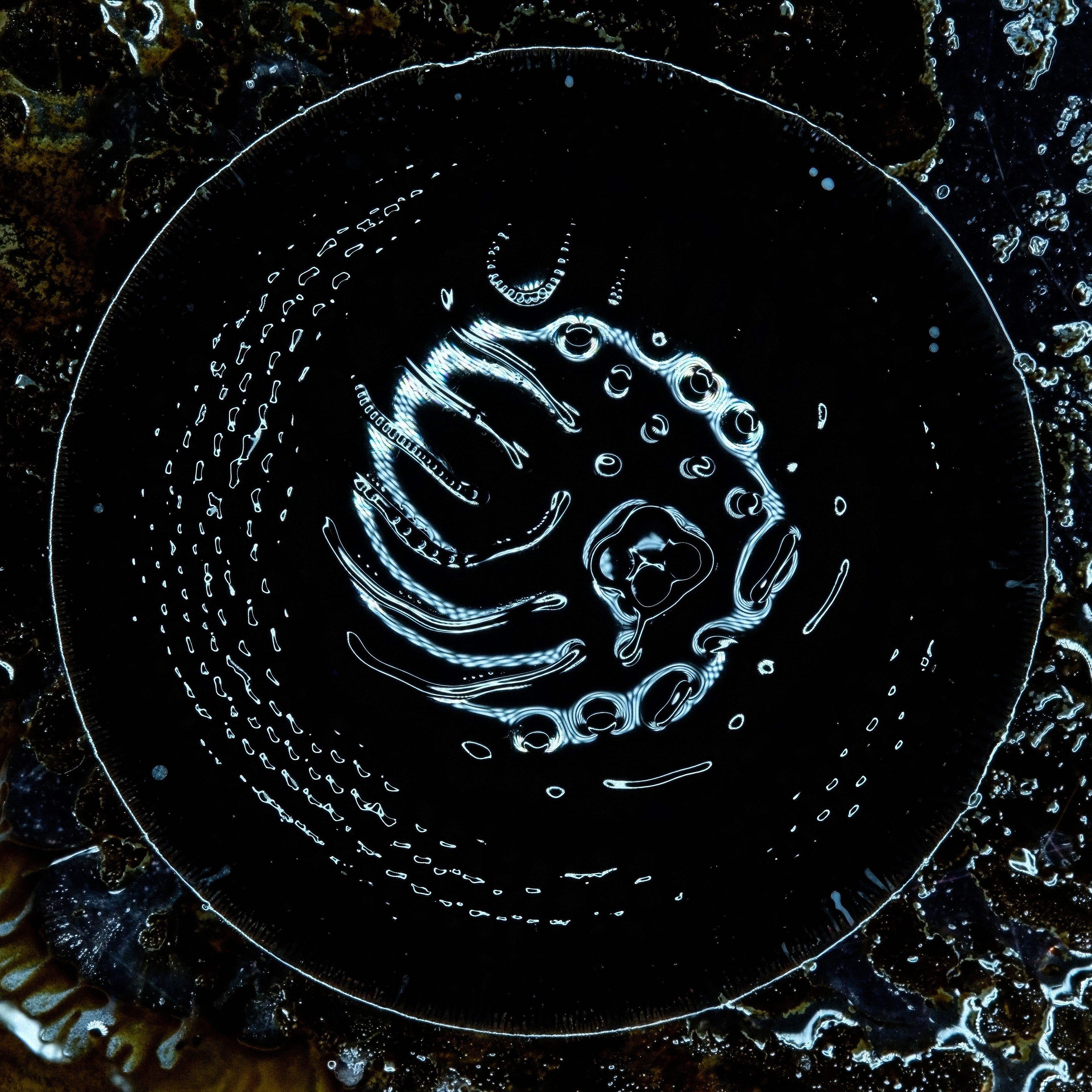 Stonus
