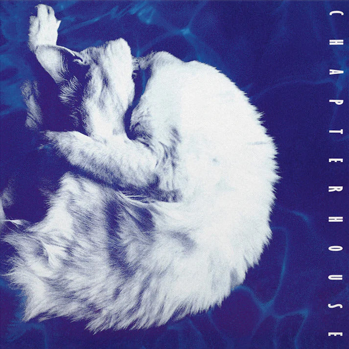 Whirlpool - Limited 180-Gram White & Black Marble Colored Vinyl