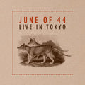 Live in Tokyo