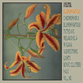 Blumenfantasie