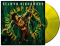 Electric Swamp Funkin' Blues