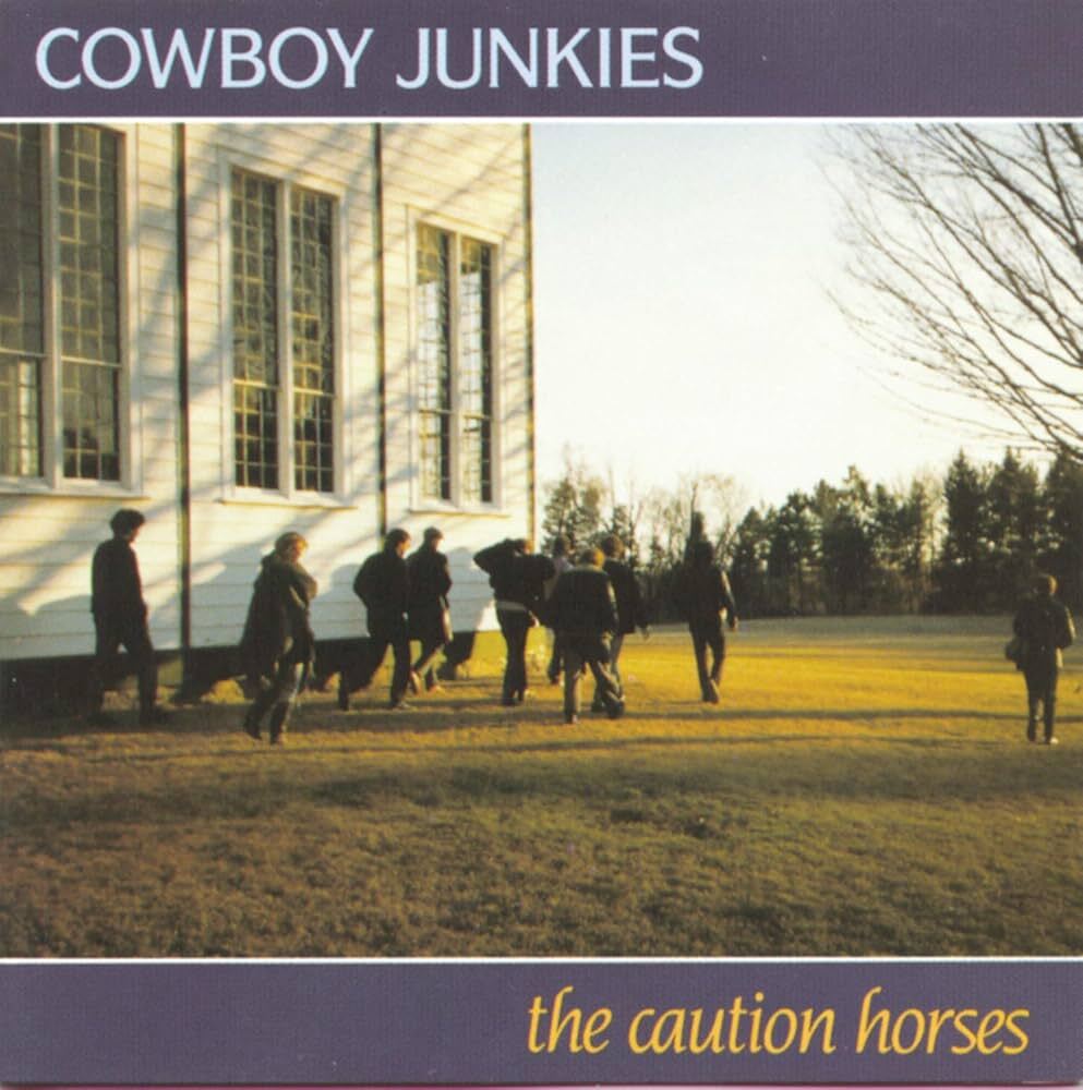 Caution Horses - Black Vinyl