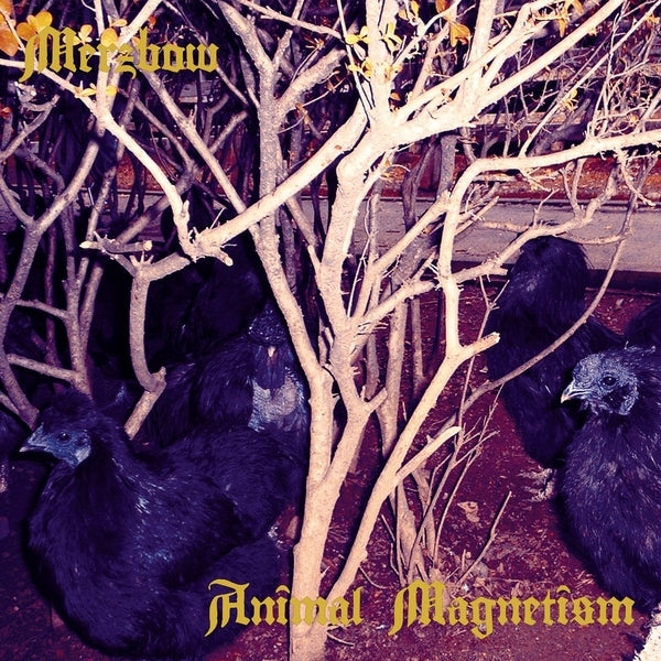 Animal Magnetism