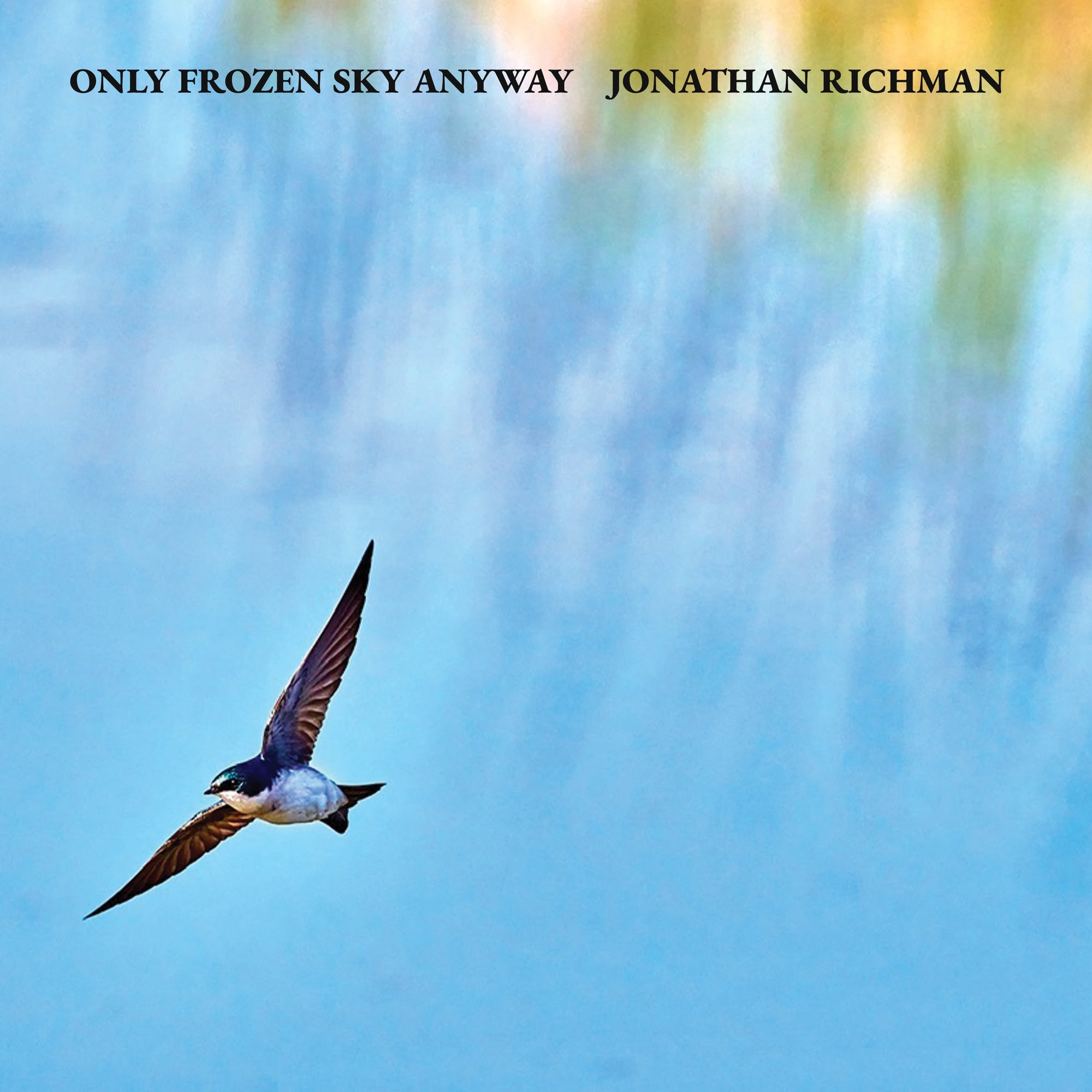 Only Frozen Sky Anyway