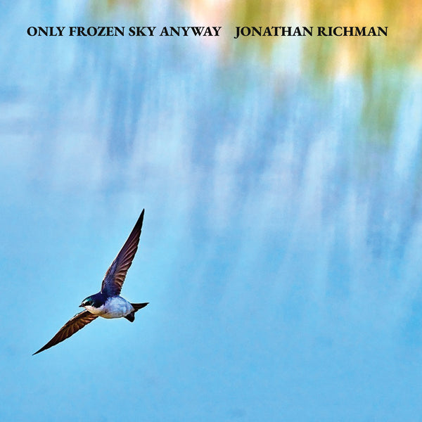 Only Frozen Sky Anyway