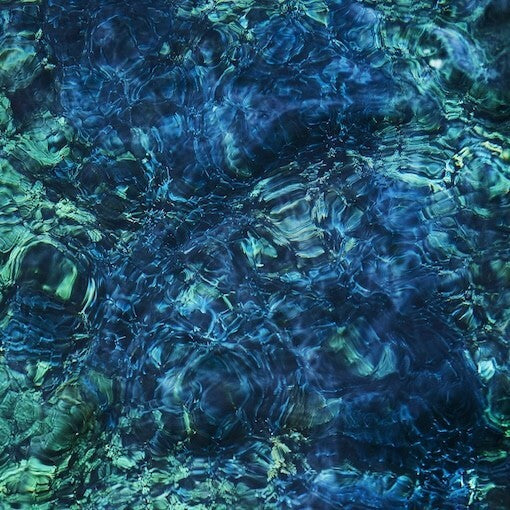 Luminescent Creatures - Limited
