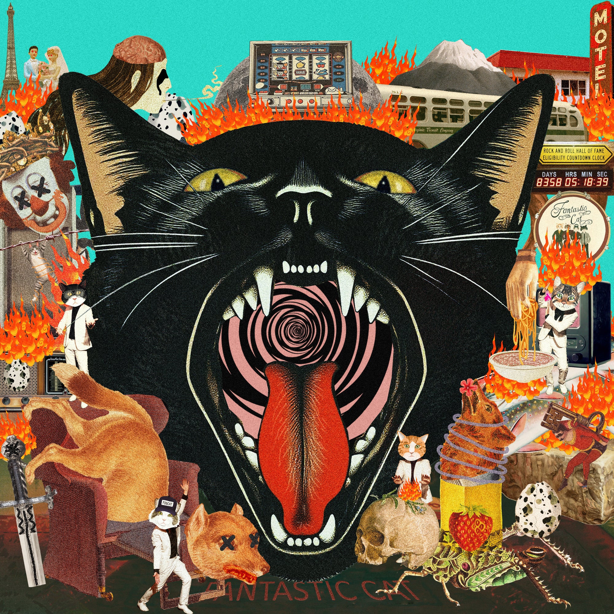 Cat Out Of Hell