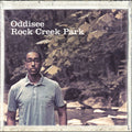 Rock Creek Park - Gold Forest