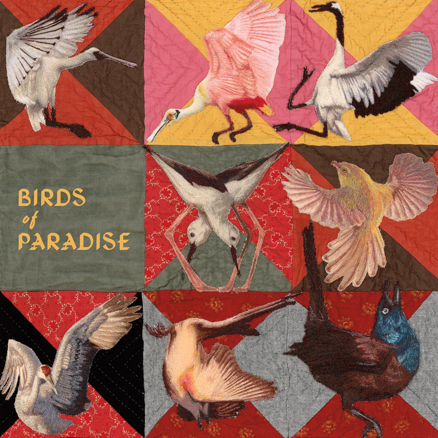 Birds of Paradise - Pink