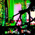 Malarial Dream