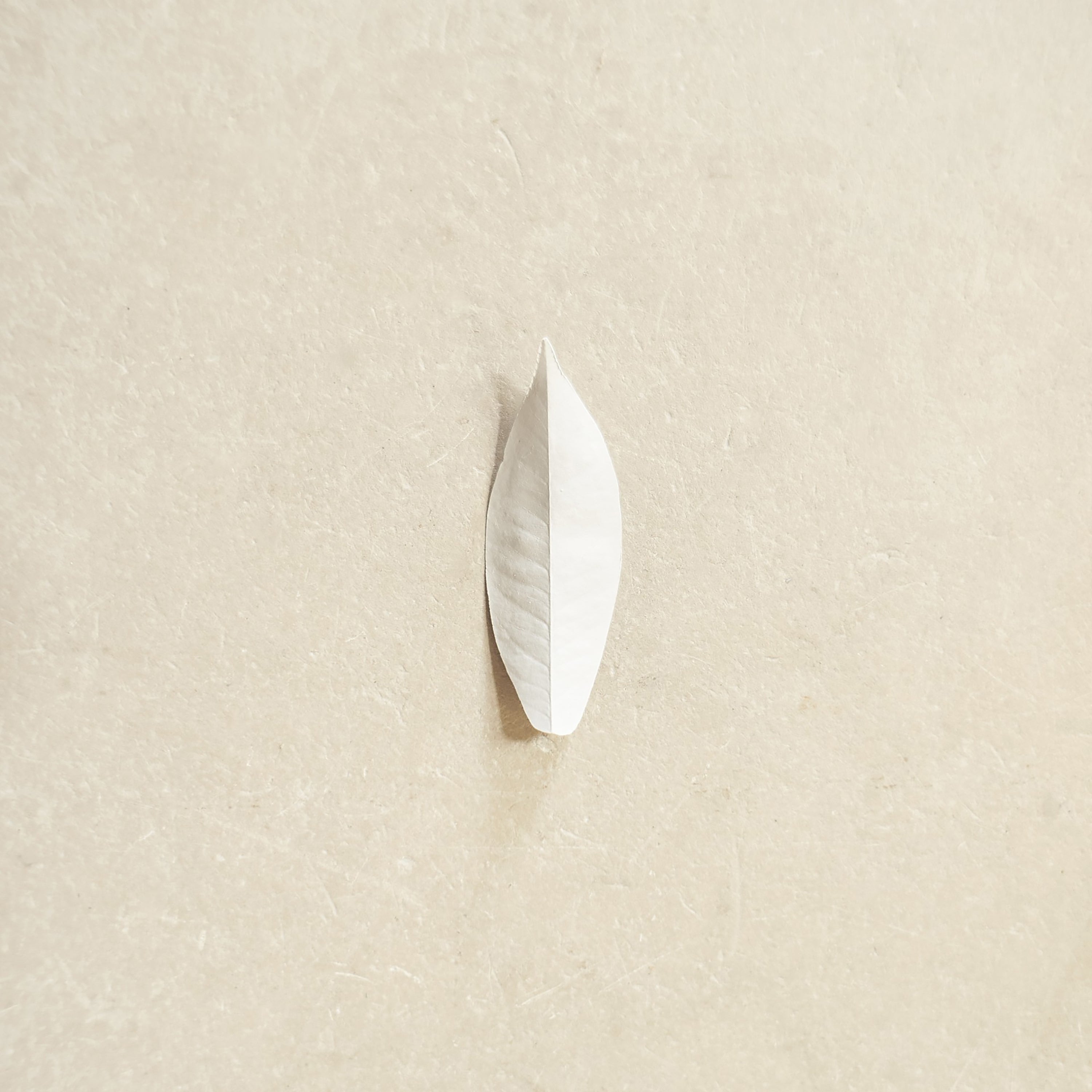 COMPLEXITY OF THE SIMPLE