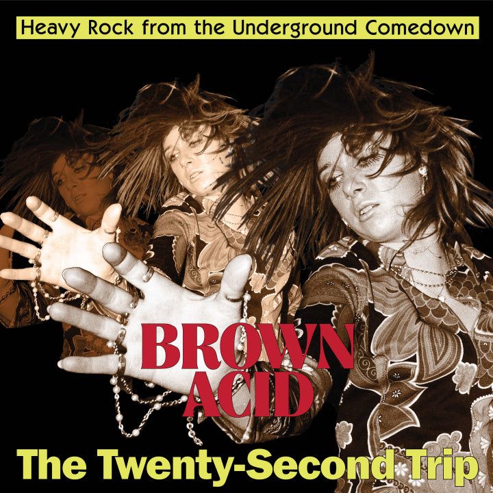 Brown Acid - The Twenty-Second Trip (Various Artists)