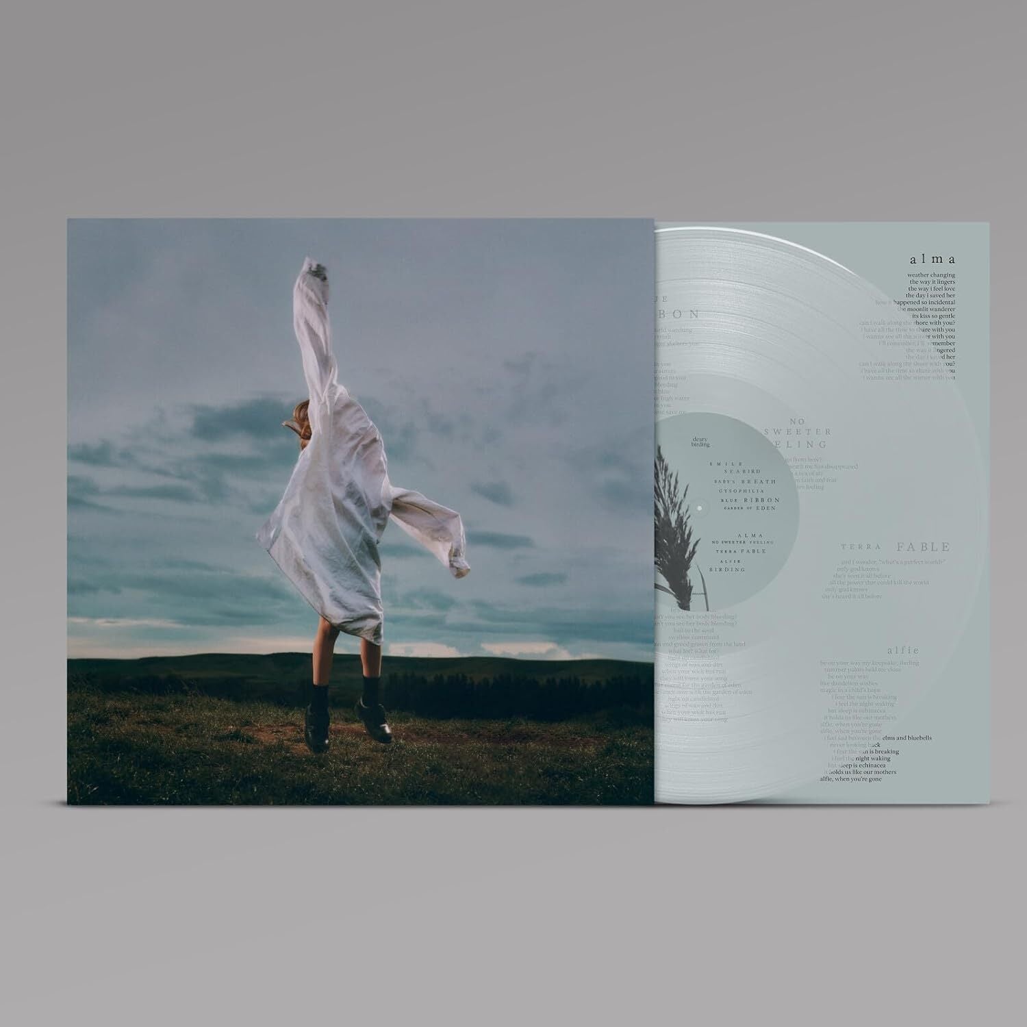 Birding - Transparent Pale Blue Vinyl