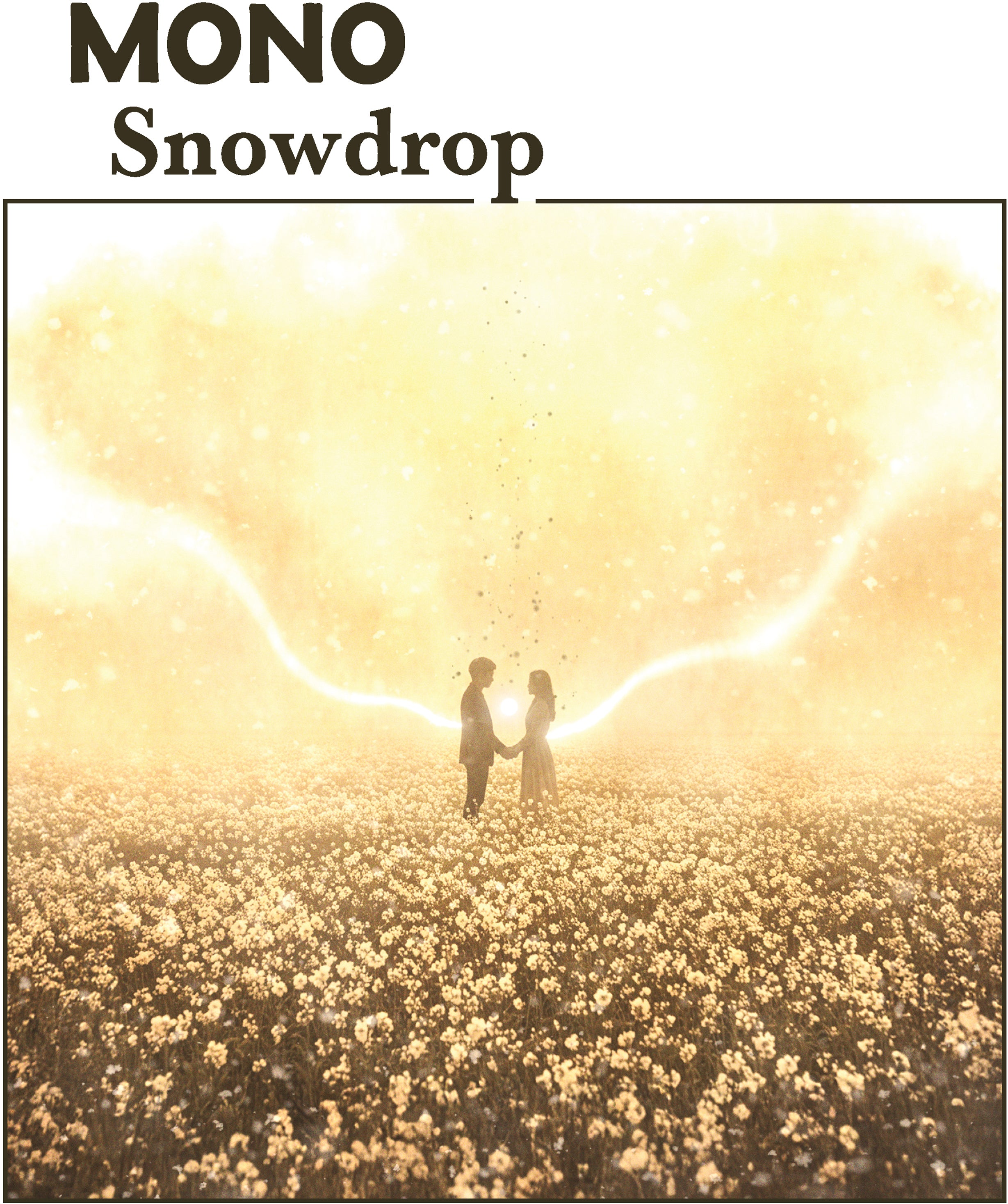 Snowdrop - Purple