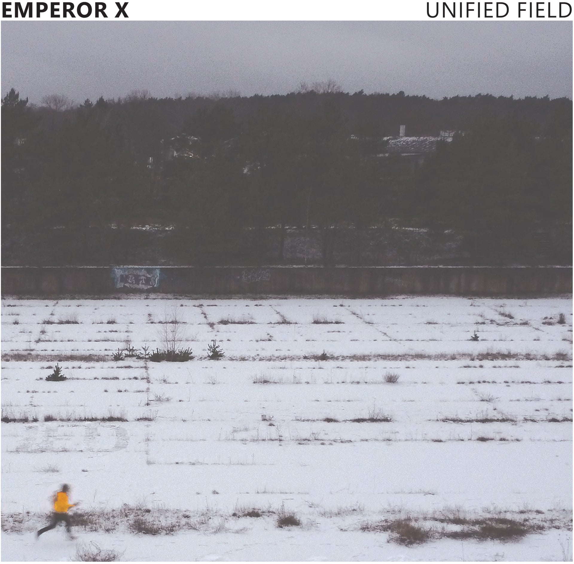 Unified Field