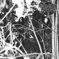 Into The Woods Of Belial - White & Black Marble Vinyl