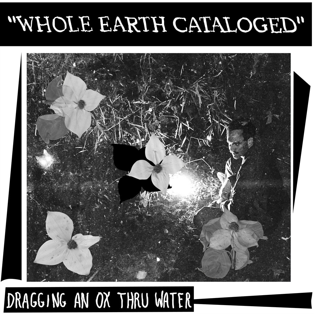 Whole Earth Catalogued