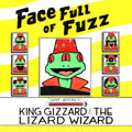 Face Full of Fuzz - Live In Lithuania '25