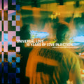 Universal Love: 10 Years Of Love Injection Compiled By Barbie Bertisch & Paul Raddaele