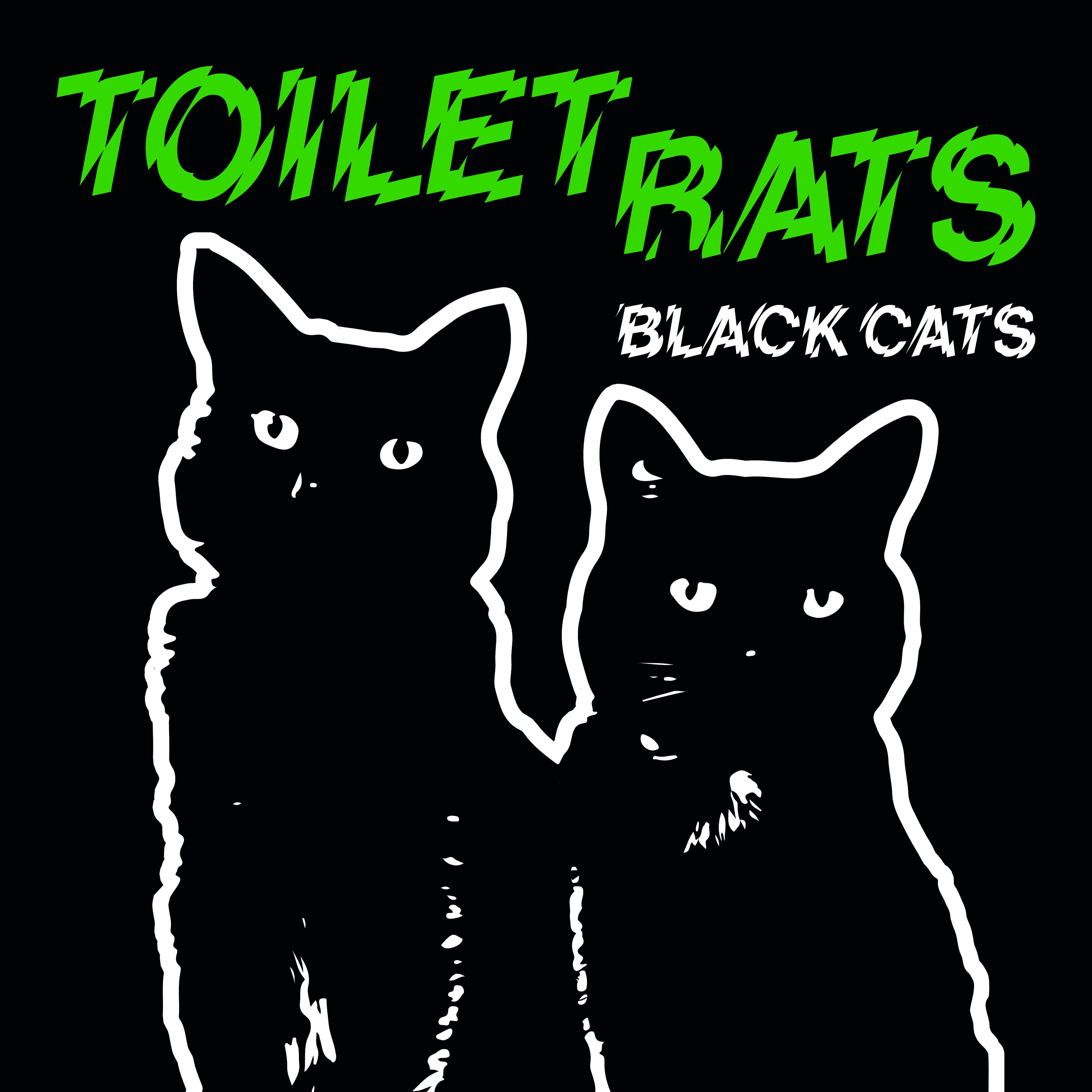 Black Cats