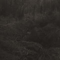 Transient
