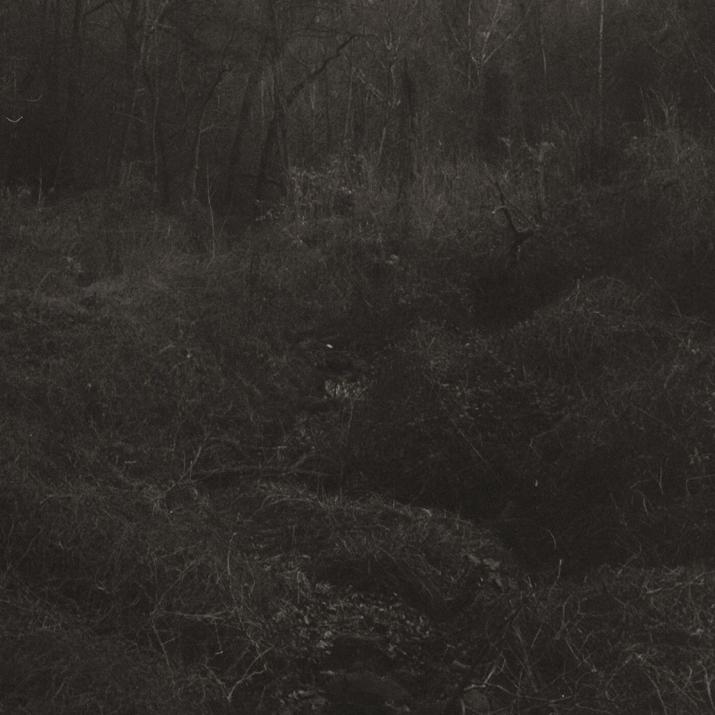 Transient