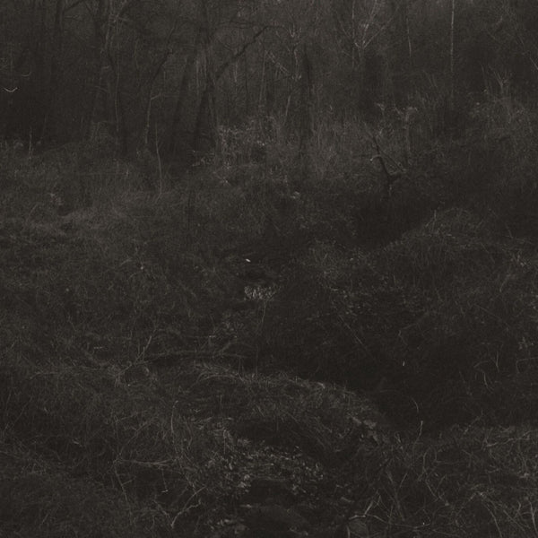 Transient