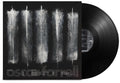Birds Fly In - Black Vinyl