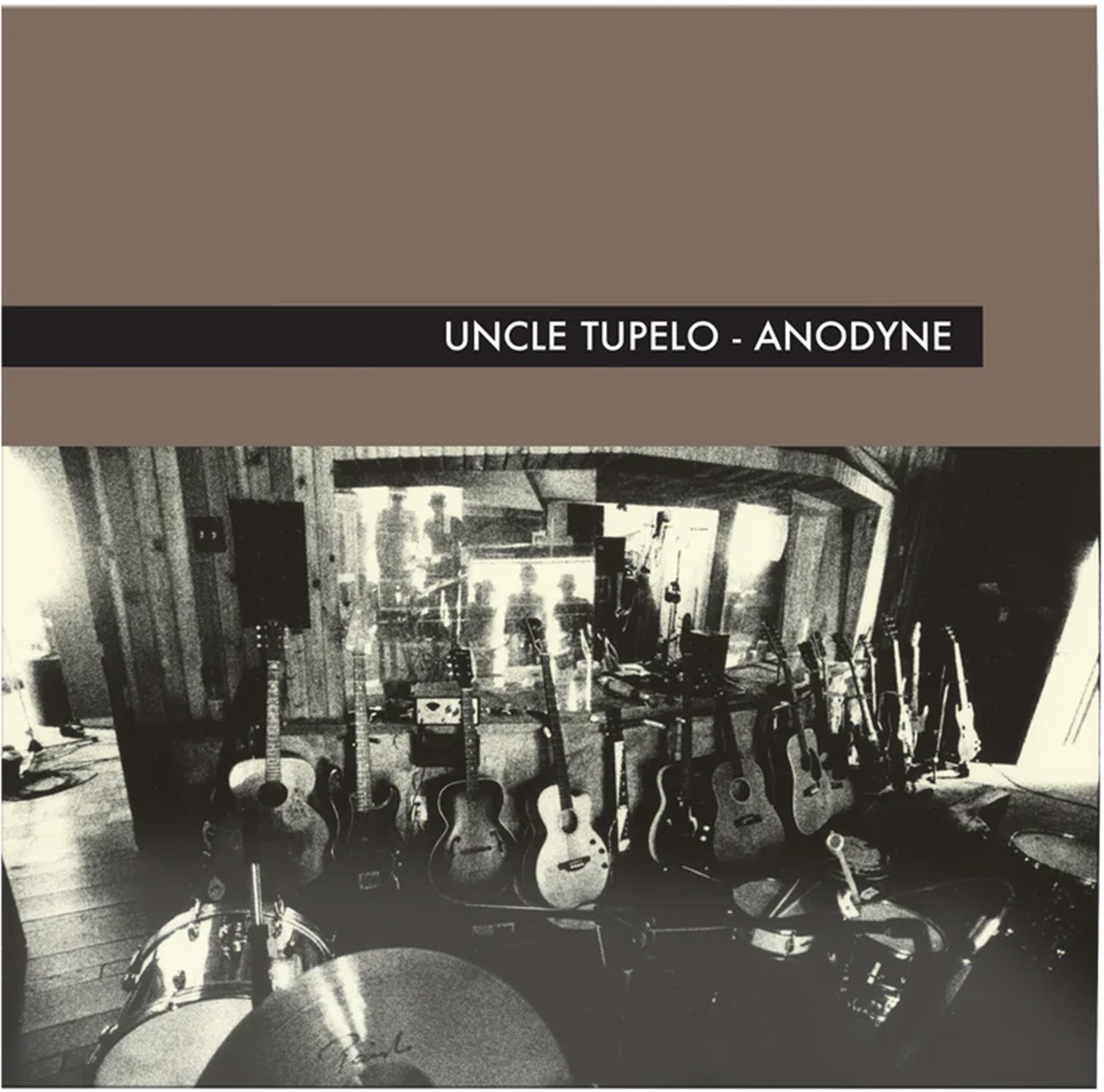 Anodyne
