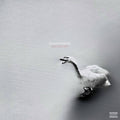 Nature Boy - White