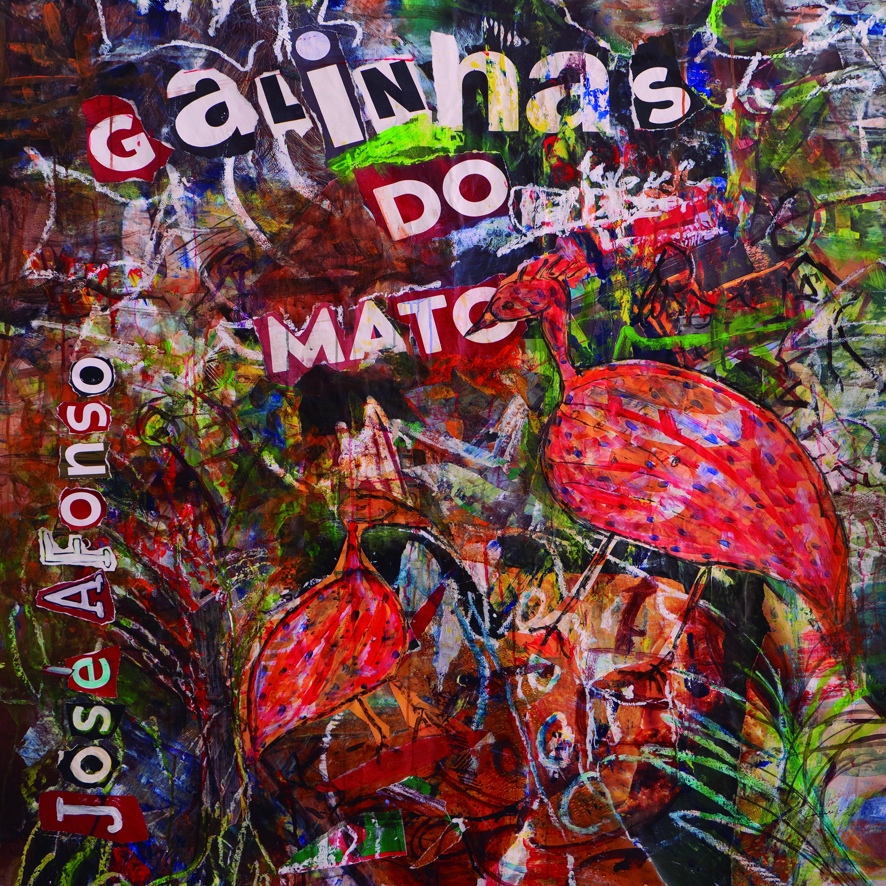 Galinhas Do Mato