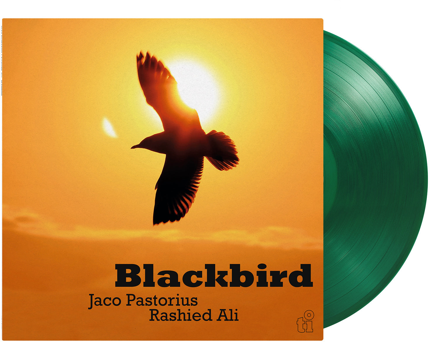 Blackbird