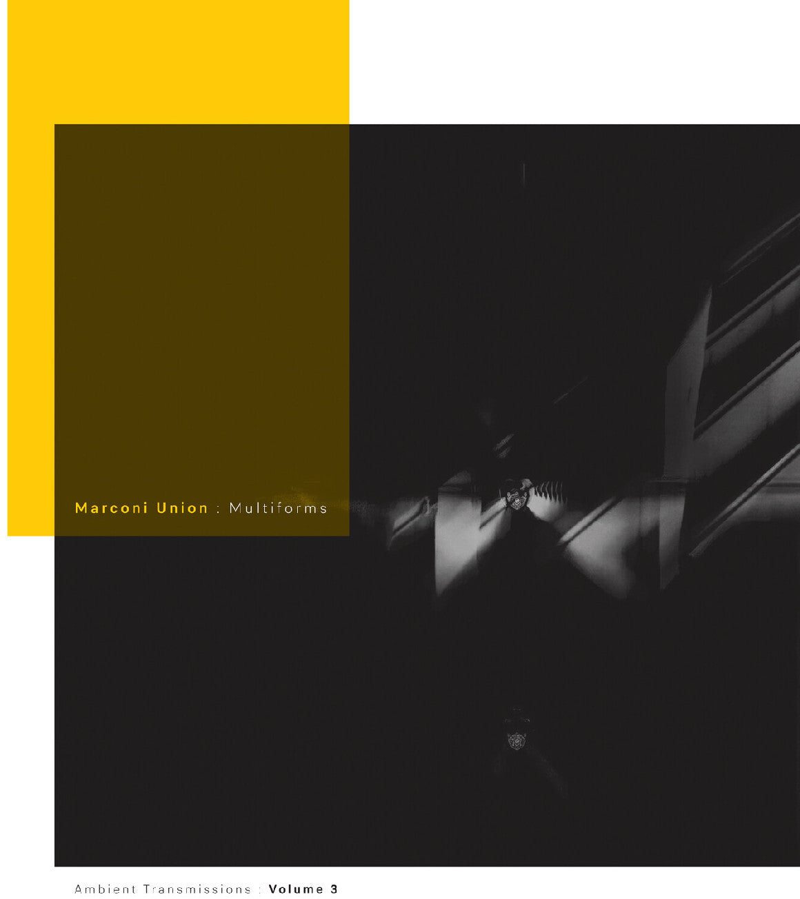 Multiforms: Ambient Transmissions Vol. 3