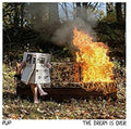 Dream Is Over - Clear W/ Red & Orange Swirl Vinyl