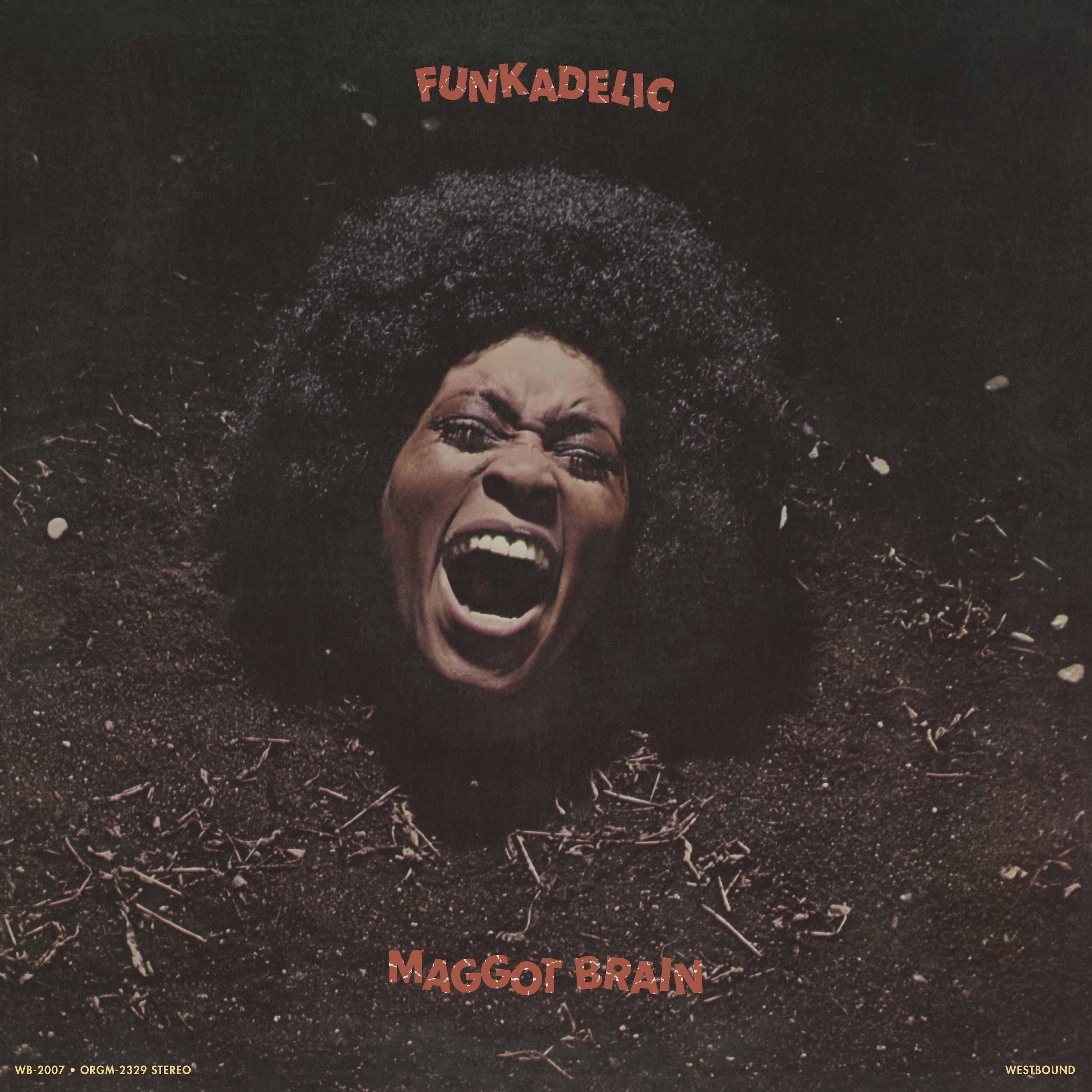Maggot Brain