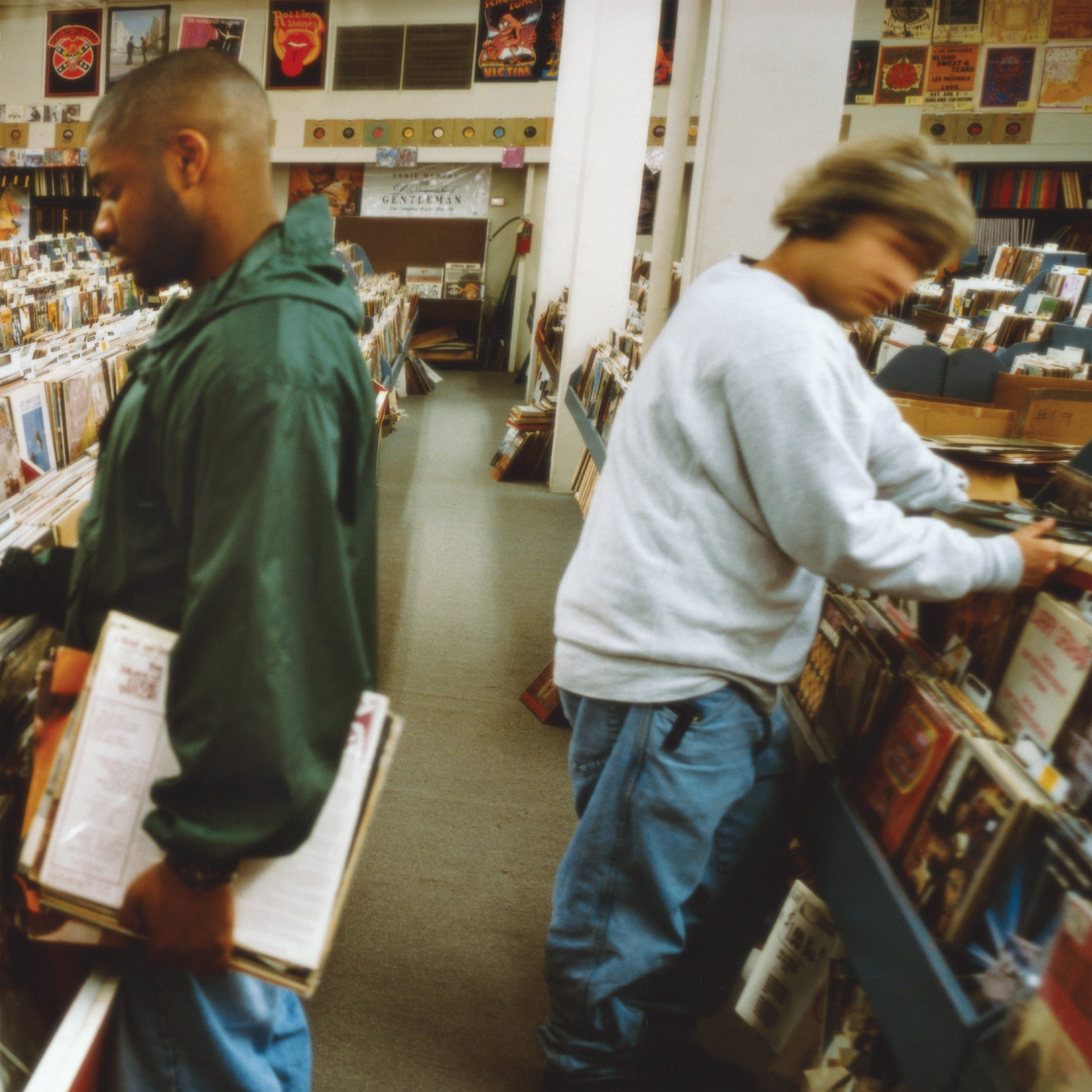 Endtroducing.....