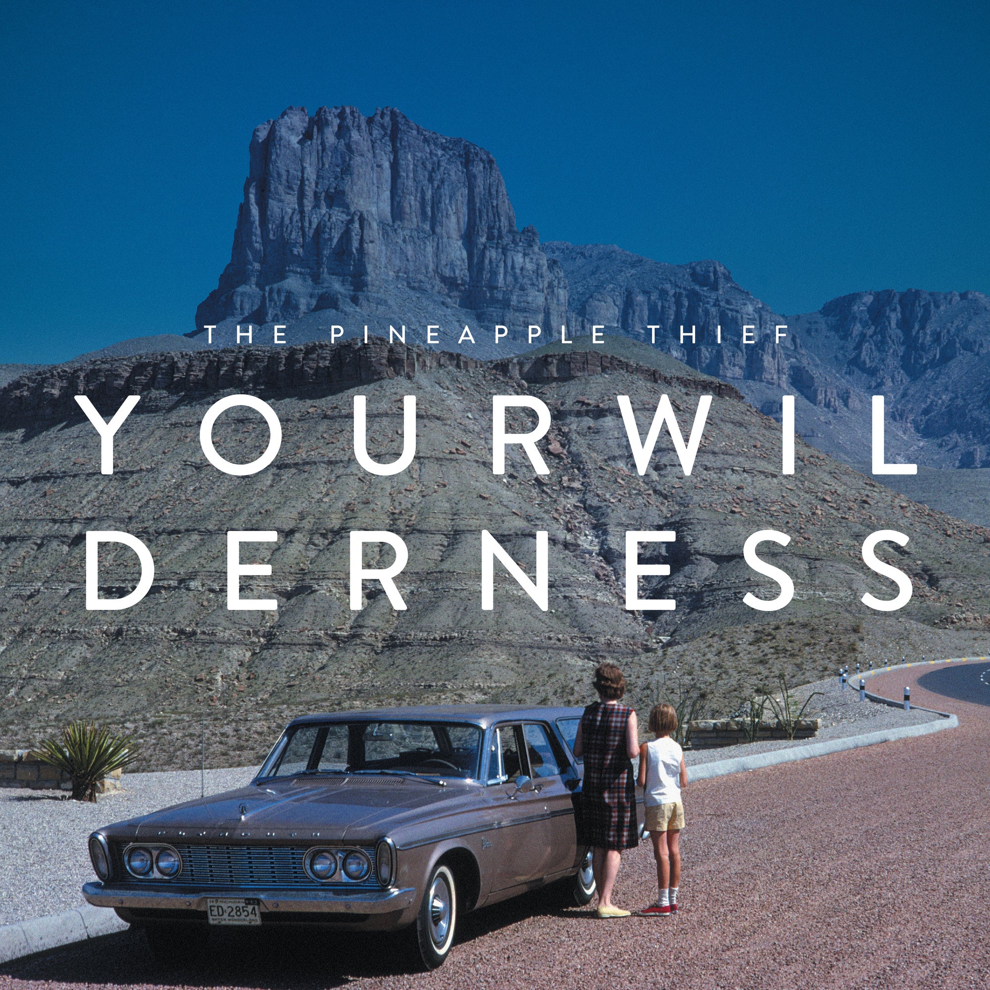 Your Wilderness