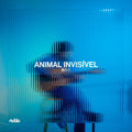 Animal Invisivel