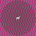 CRYPTOGRAMS / FLUORESCENT GREY