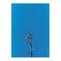 The Ys Street Band EP