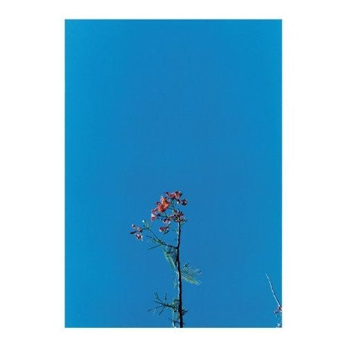 The Ys Street Band EP
