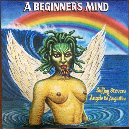 A Beginner's Mind