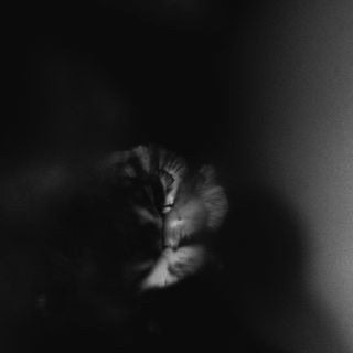 Holding Absence