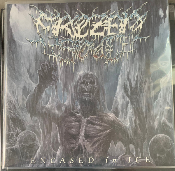 Encased In Ice