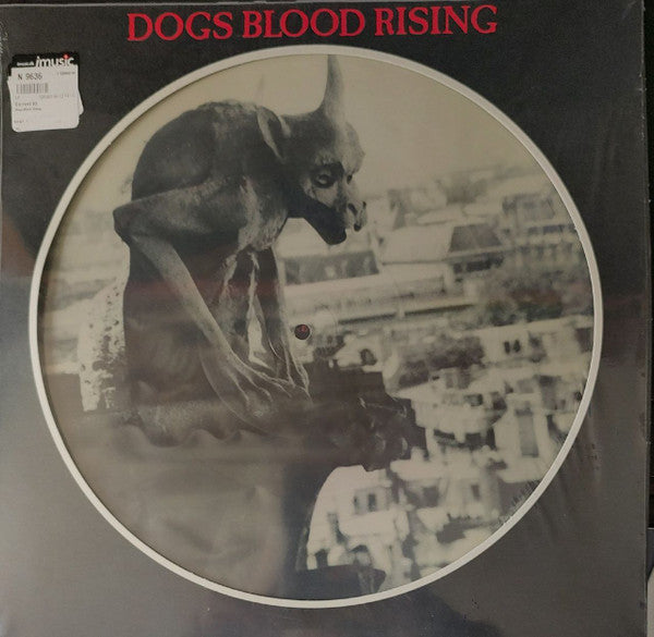 DOGS BLOOD RISING